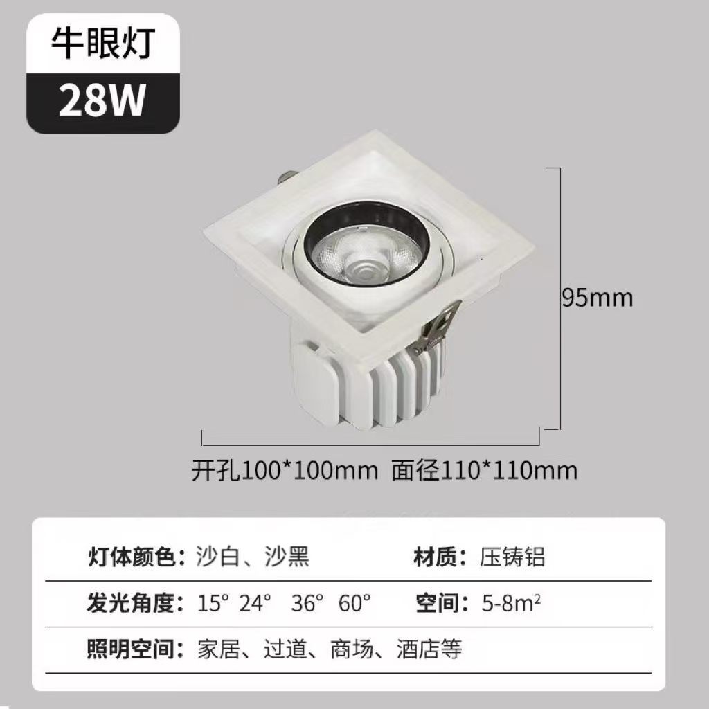 飞宇诺服装店360旋转可调牛眼天花灯
