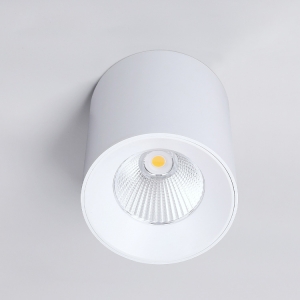 LED Downlight-Surface Mount re