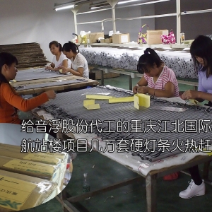 飞宇诺重庆双流机场重庆江北机场项目案例